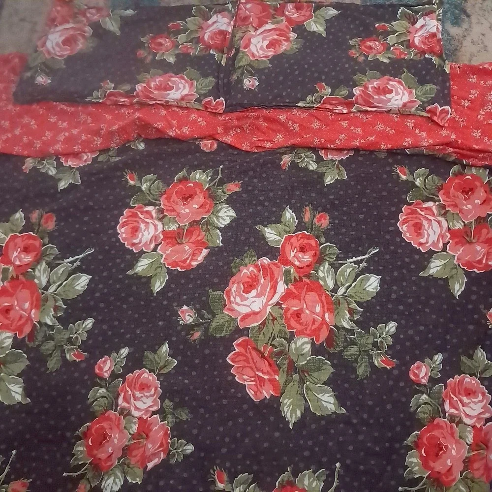 Pioneer Woman Rose Garden Duvet Full/Queen Shams Black Red Floral dark romance